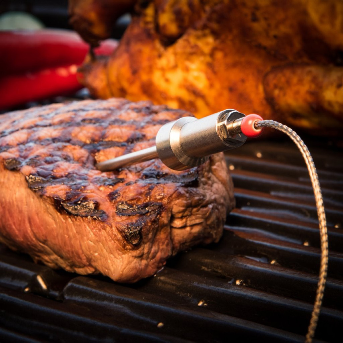 Click & Grow HerQs Probes Paistomittari Musta