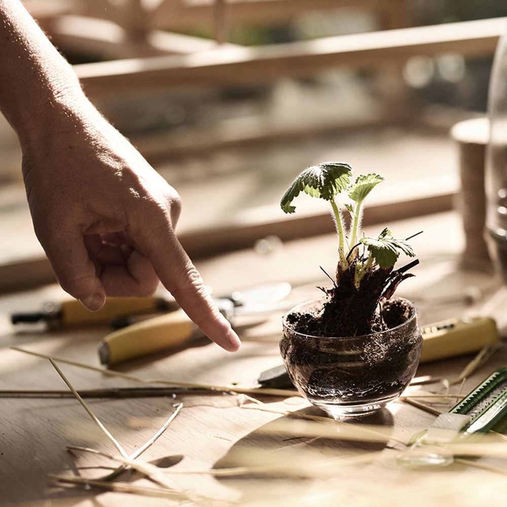 Design House Stockholm Grow Växthus Small 14 cm