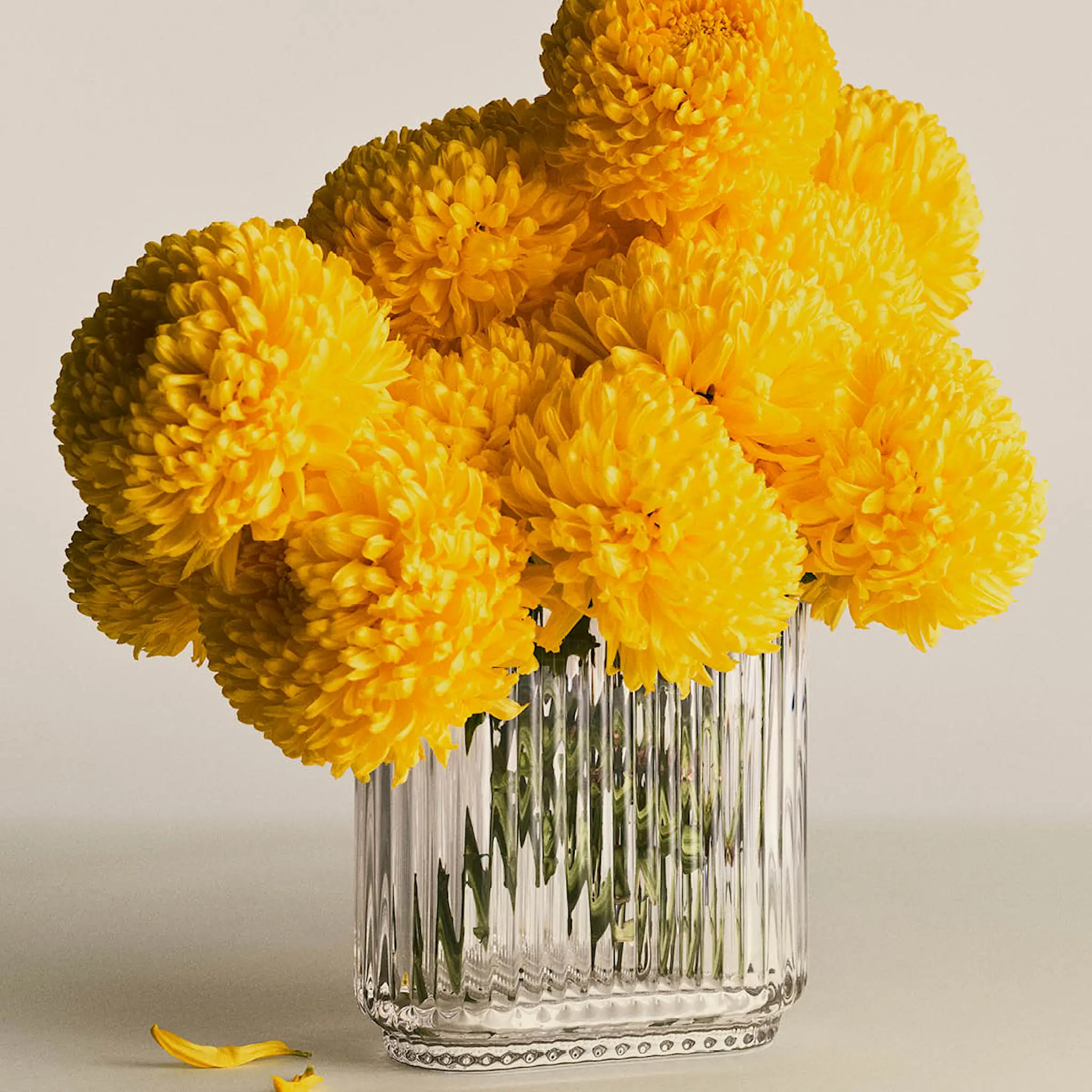 Georg Jensen Bernadotte vas oval 16 cm glas