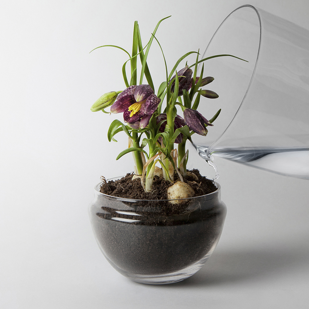 Design House Stockholm Grow Växthus Small 14 cm