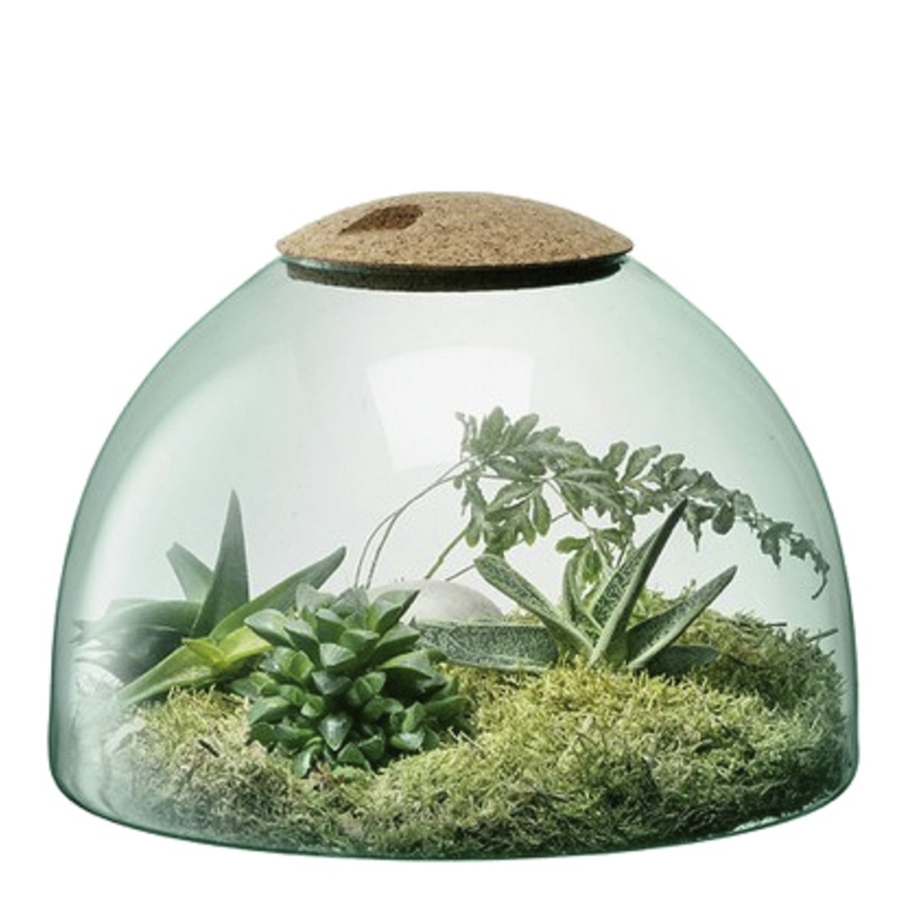 LSA International Canopy terrarium 22 cm