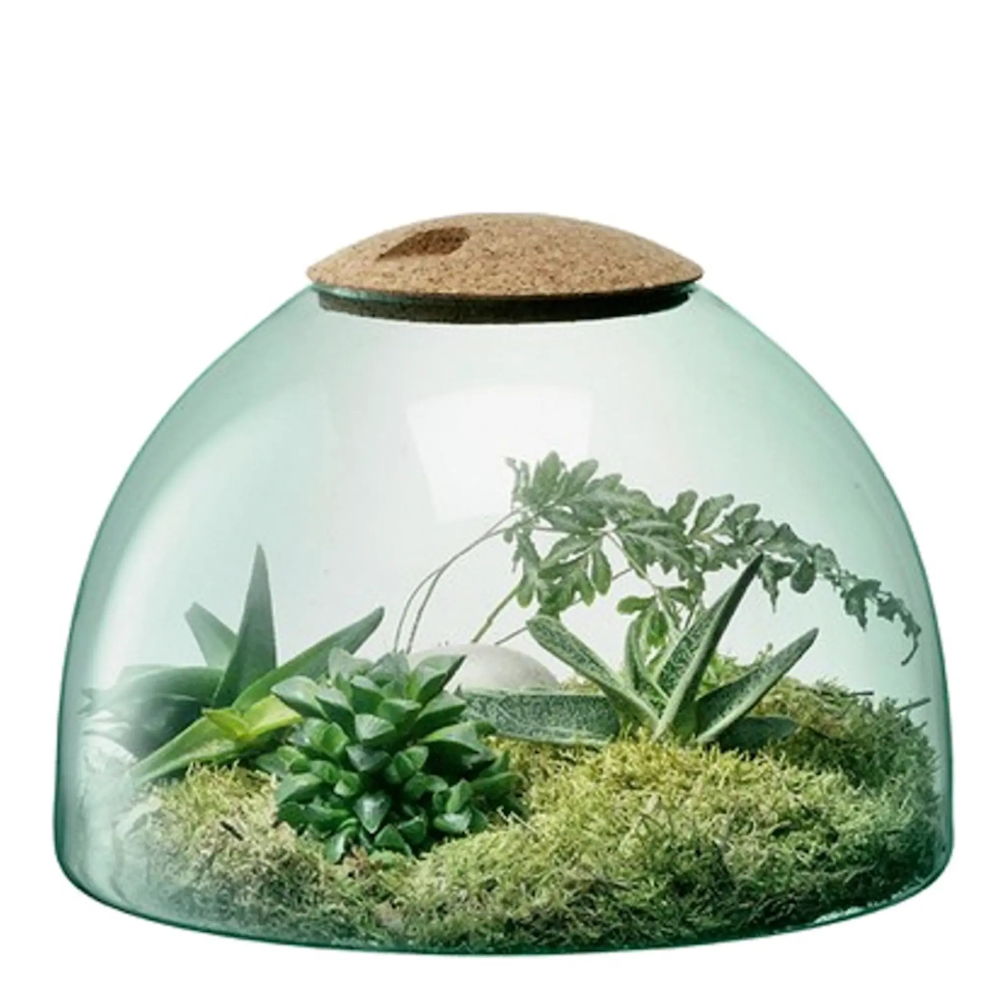 LSA International Canopy Terrarium 22 cm
