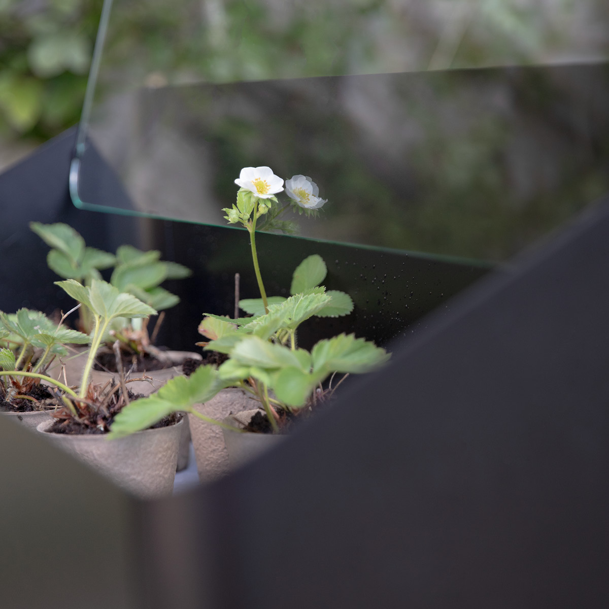 Eva Solo Simply Grow Groningslåda 33x80x63 cm svart