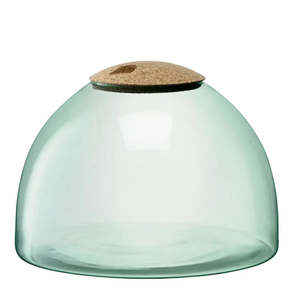 Canopy Terraario 22 cm