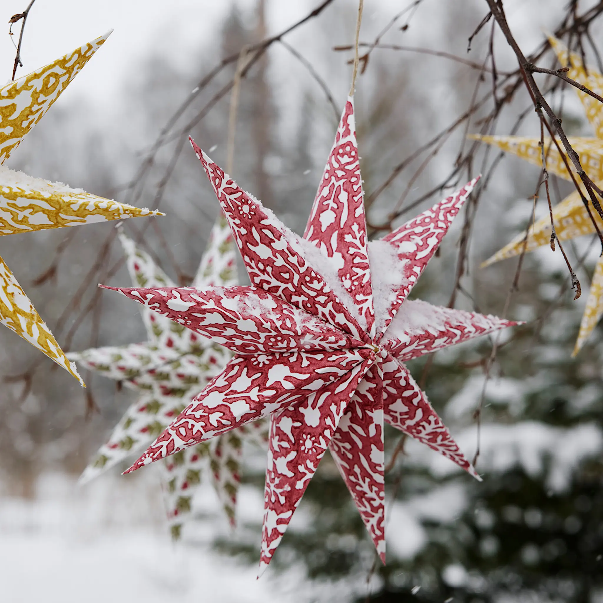 Chamois Adventsstjärnor med olika mönster 3-pack röd/grön