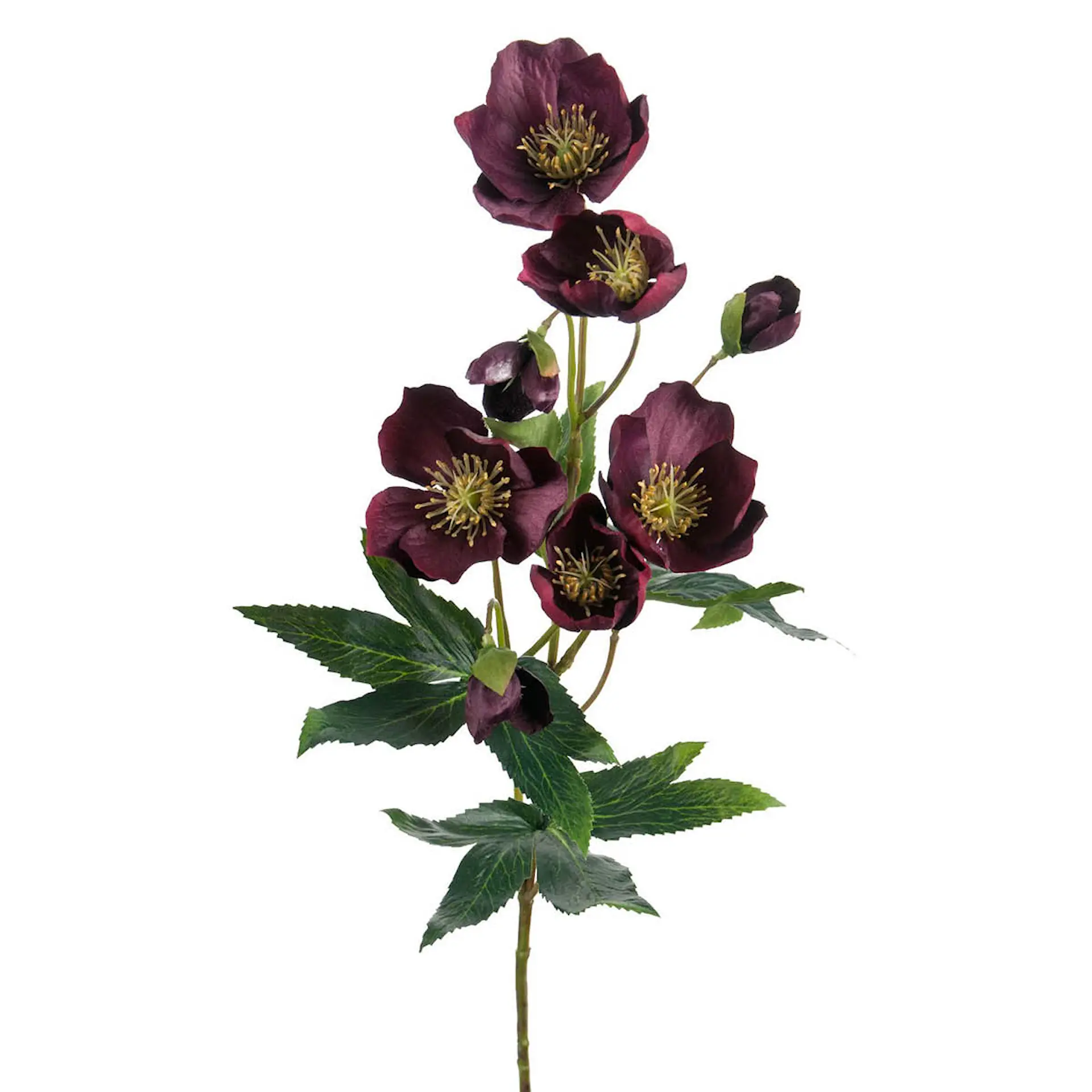 Mr Plant - Skapa en hållbar blombukett - Konstgjorda blommor - Cervera