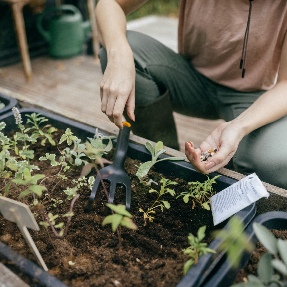 Fiskars Solid™ Möyhennyskuokka 27,4 cm Musta