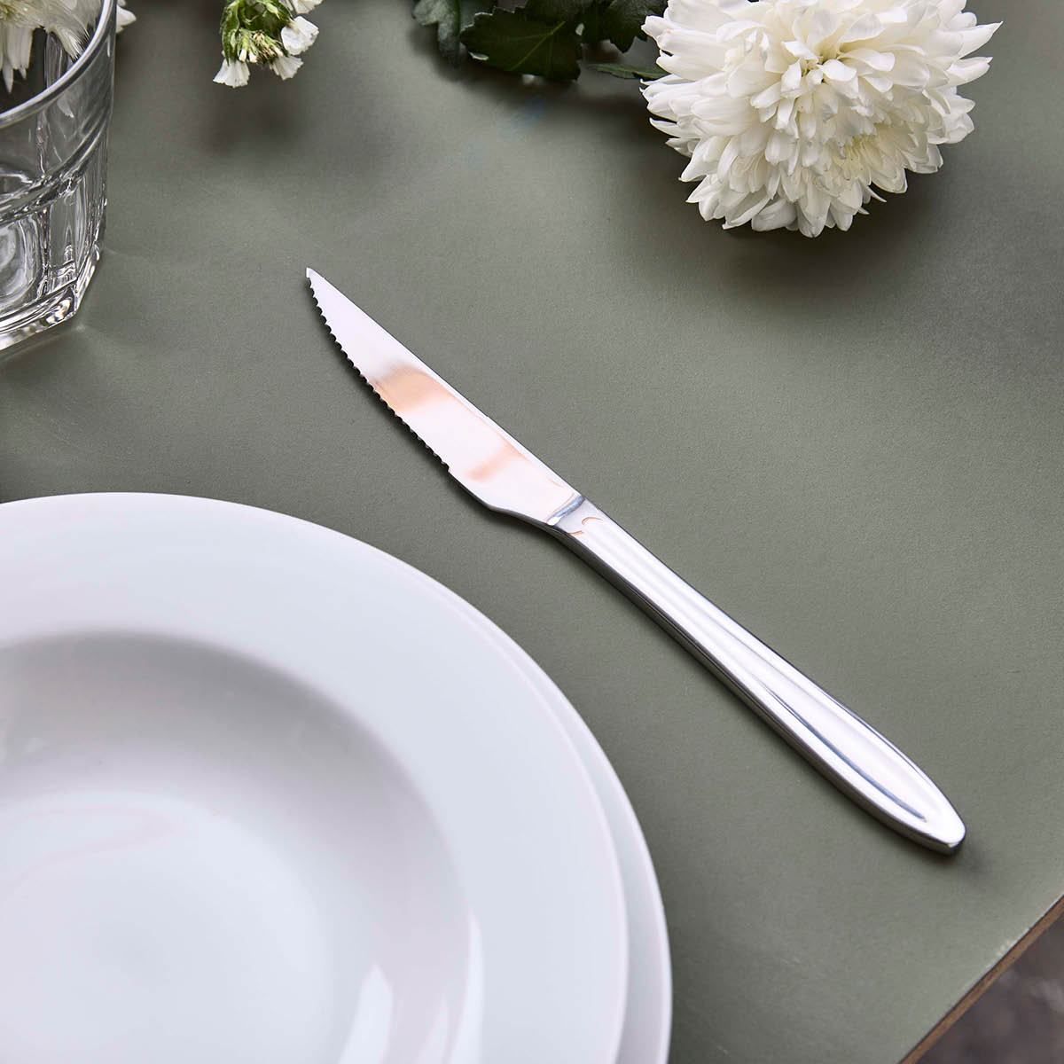 Aida Gastro Pihviveitsi 22 cm Mirror Polish