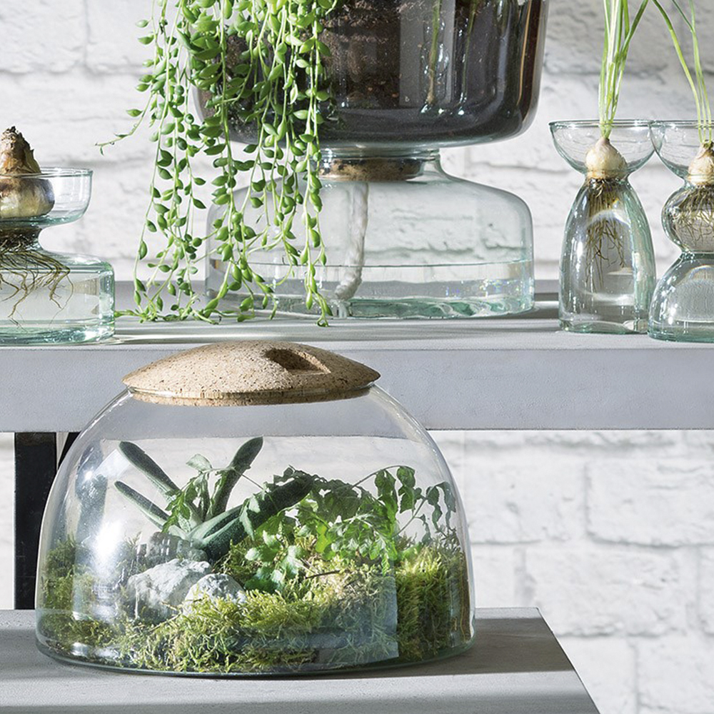 LSA International Canopy terrarium 22 cm