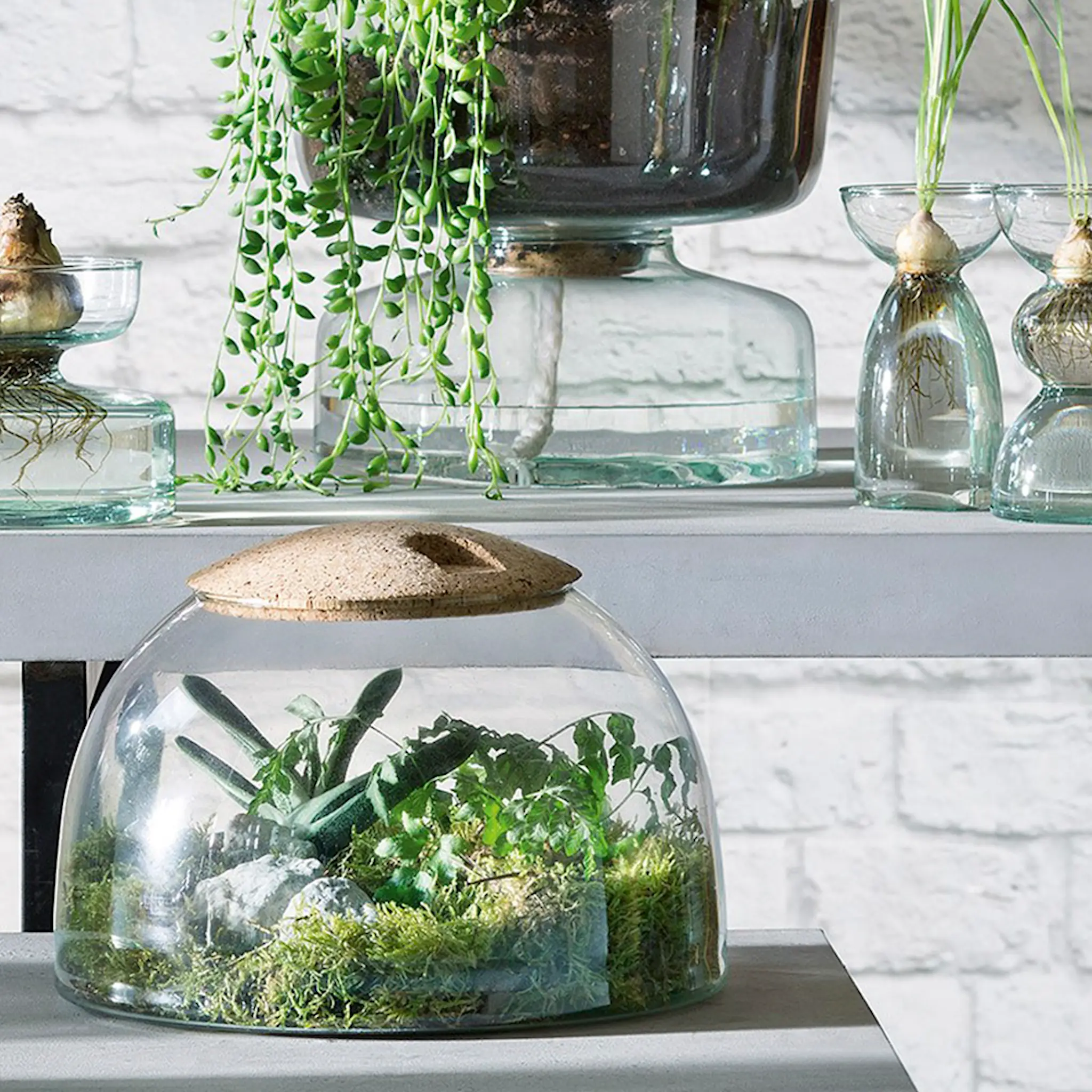 LSA International Canopy Terrarium 22 cm