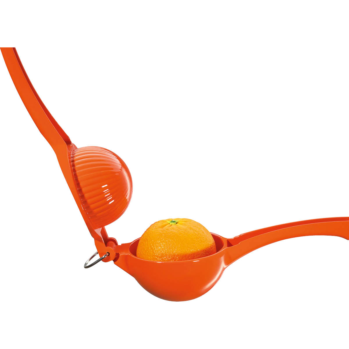 Cilio Aranicia citruspress 8,5 cm orange