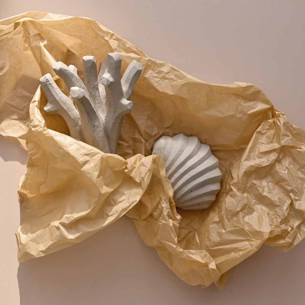 Cooee The Clam Shell Veistos Limestone