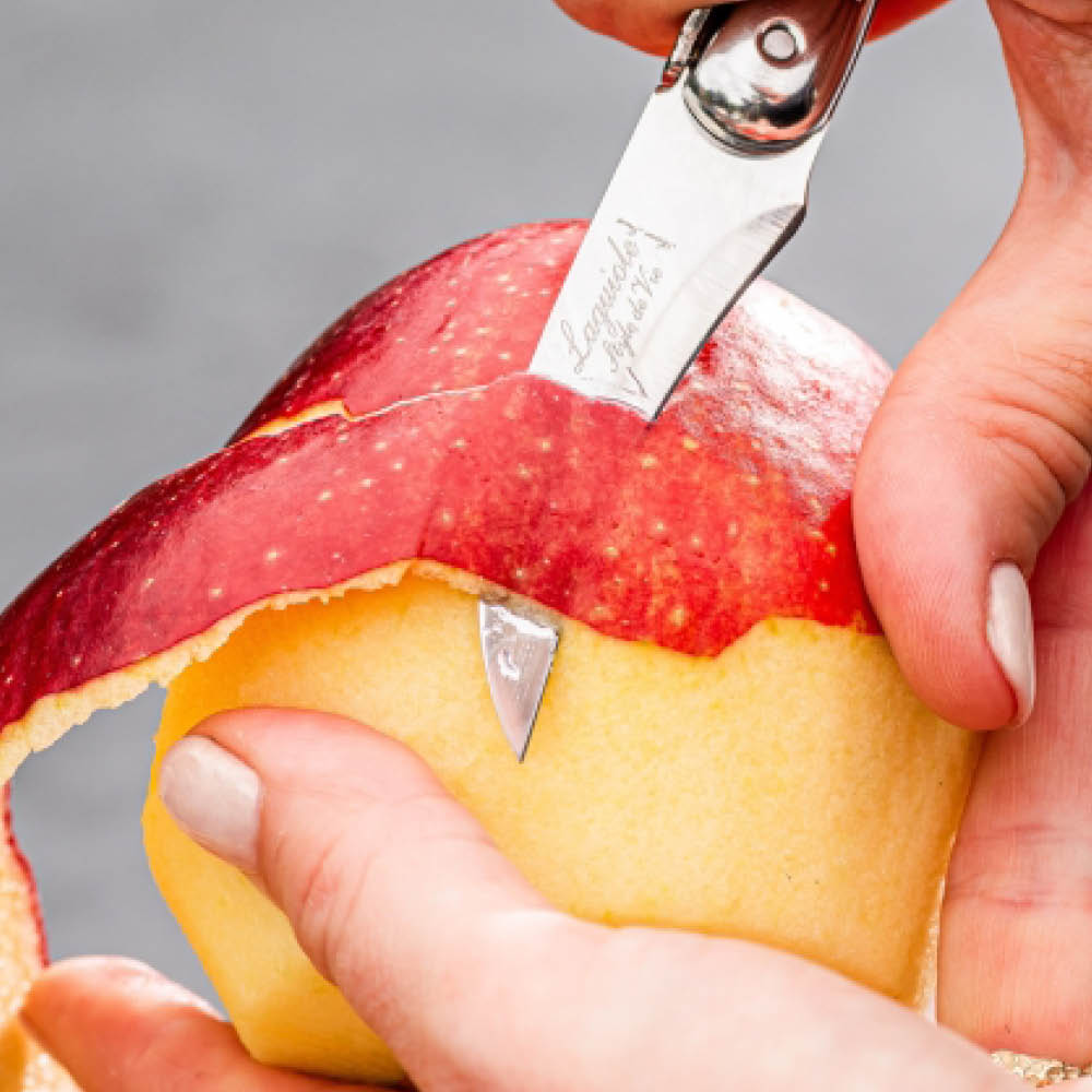 Laguiole Style de Vie Knivset 3 delar svart