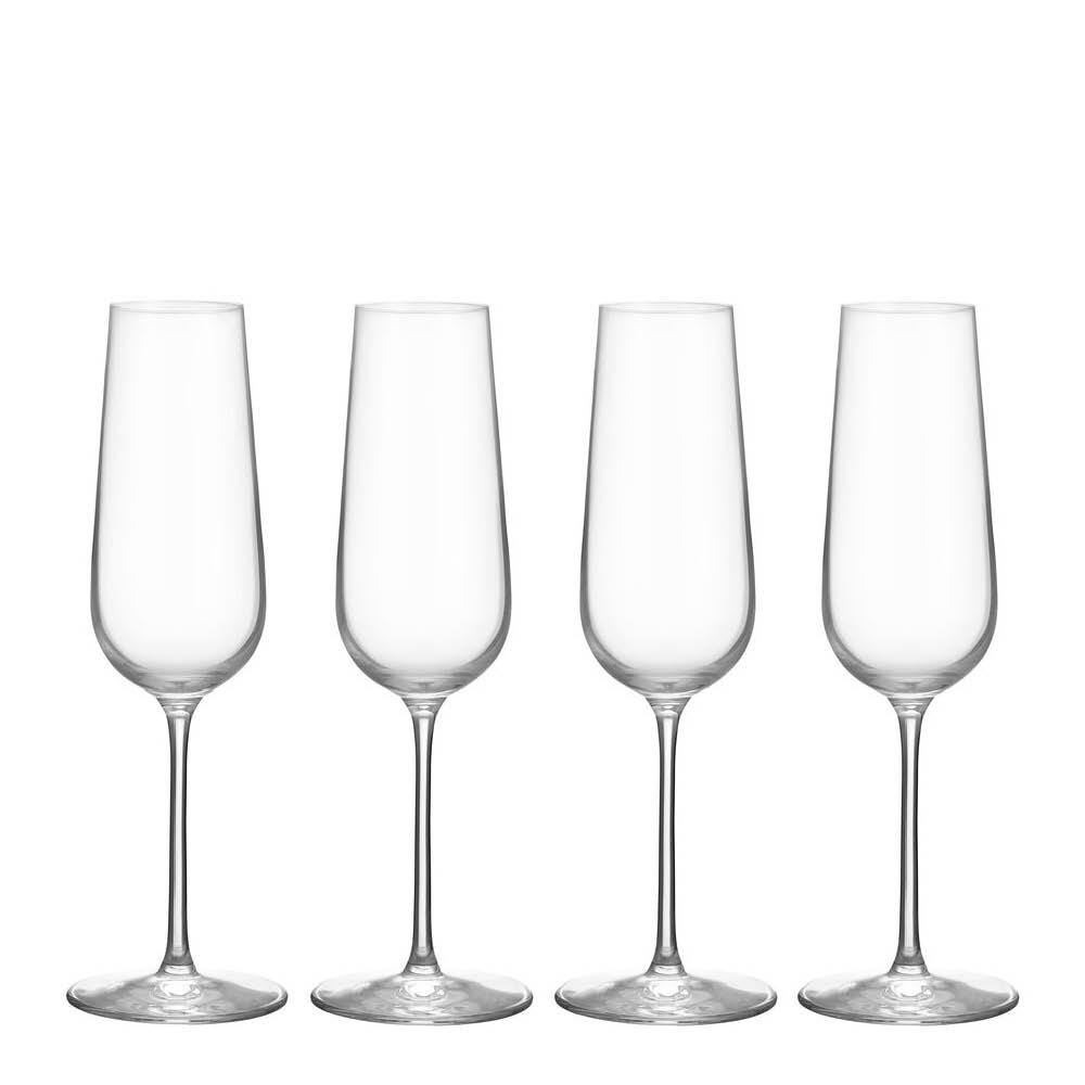 Orrefors Balance champagneglas 21 cl 4-pack