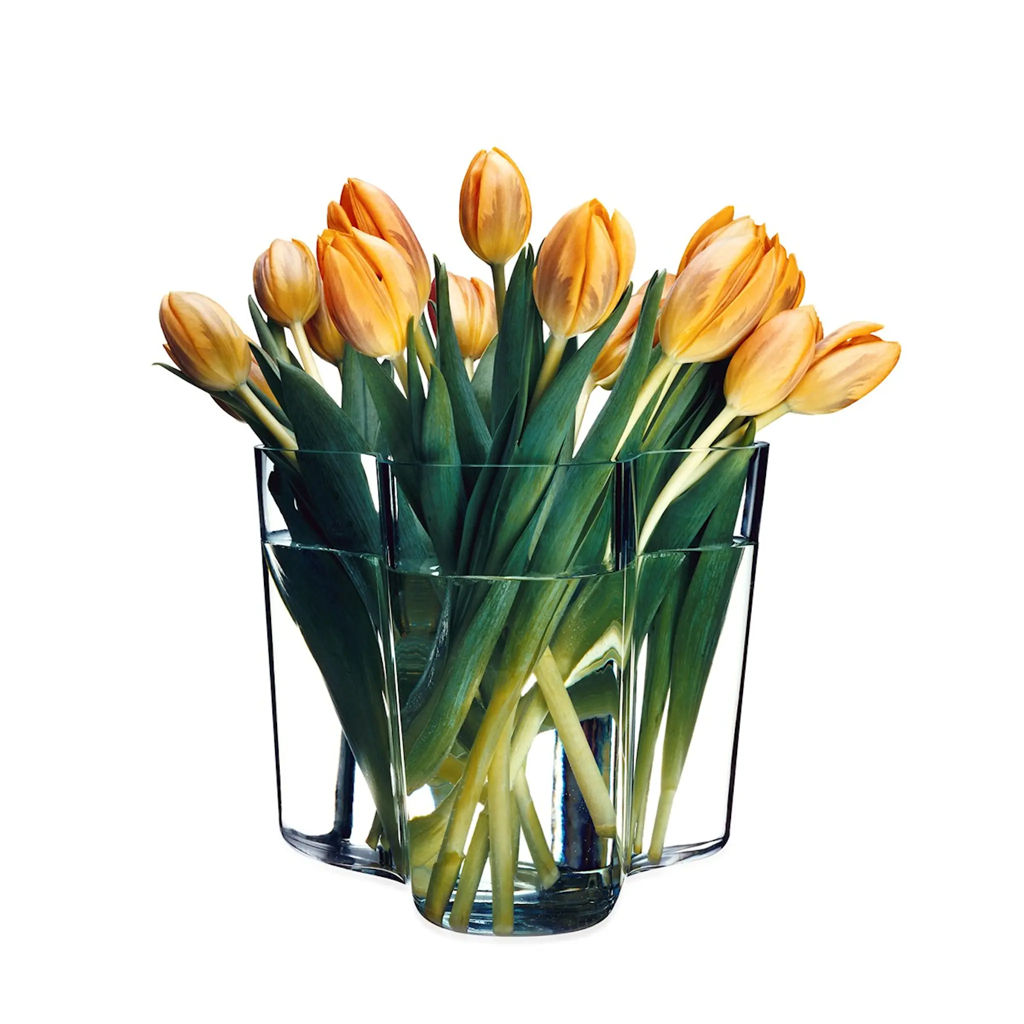 iittala Alvar Aalto Collection Vasset 16+9,5 cm Klar