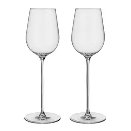 Orrefors x Björn Frantzén champagneglass 28 cl 2 stk