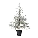 Cedille gran träd LED-ljus 120 cm grön