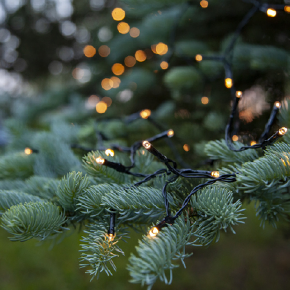 Star Trading Akku lyslenke 160 lys