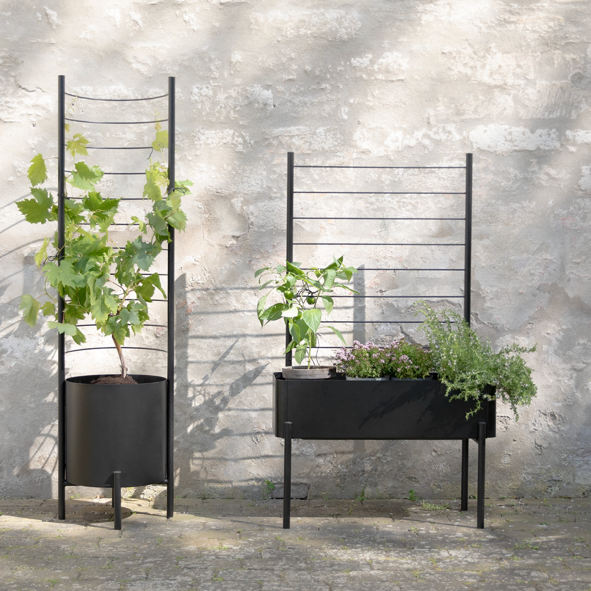 Eva Solo Simply Grow Spaljé till odlingslåda svart