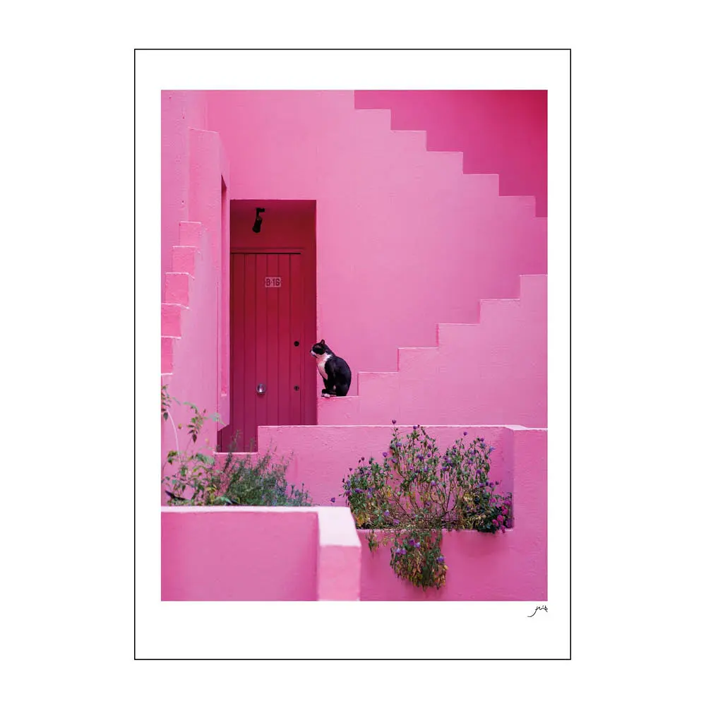 FLIP Juliste 50x70 cm Pink panther