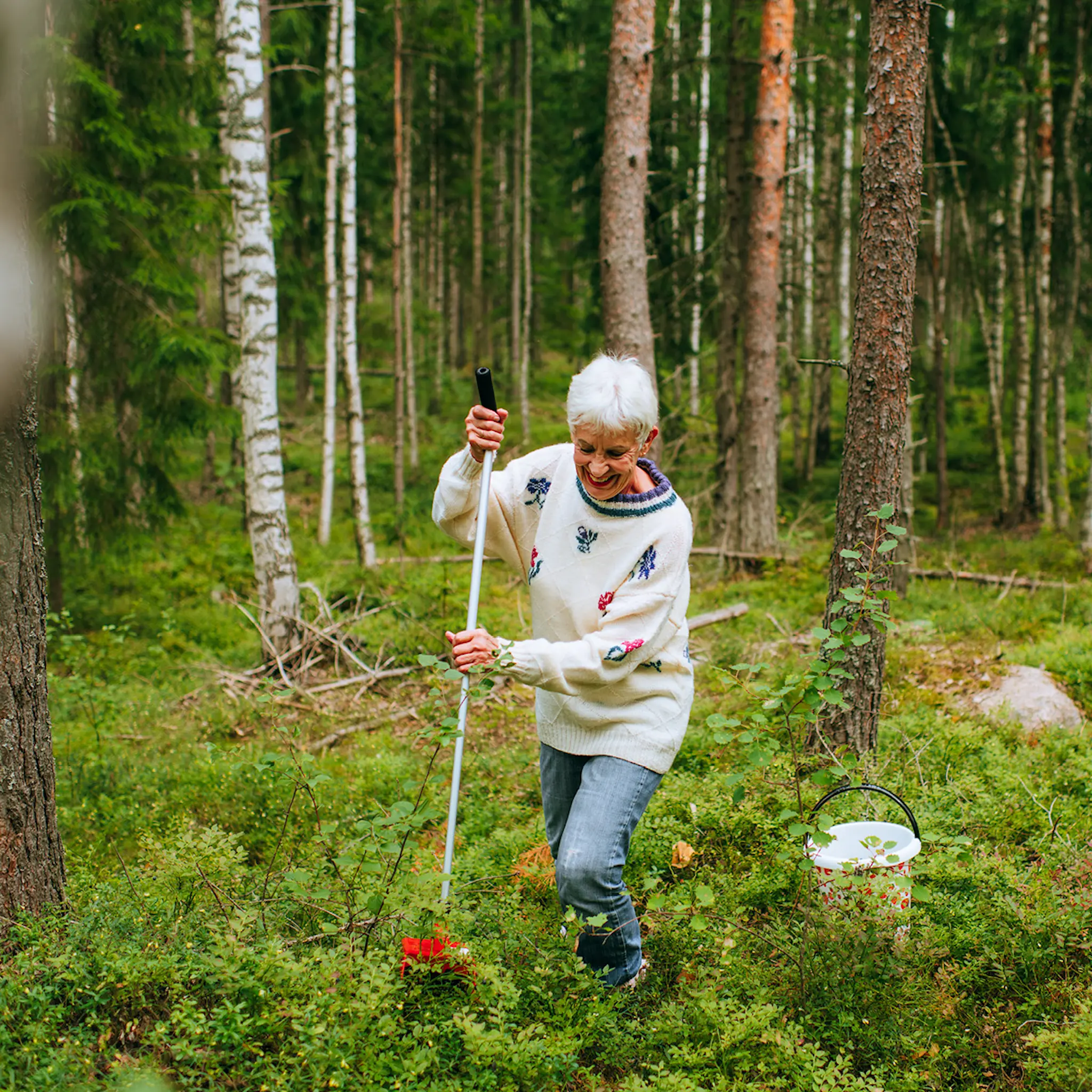 Marjukka Bärplockare med teleskopskaft 88-121 cm