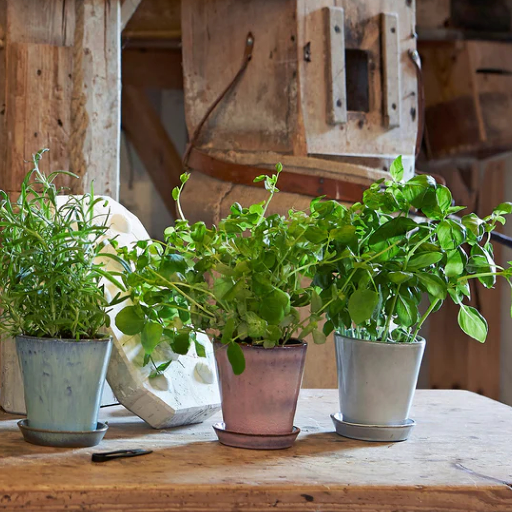 Knabstrup Keramik Krukke m/fat H12 cm rosa