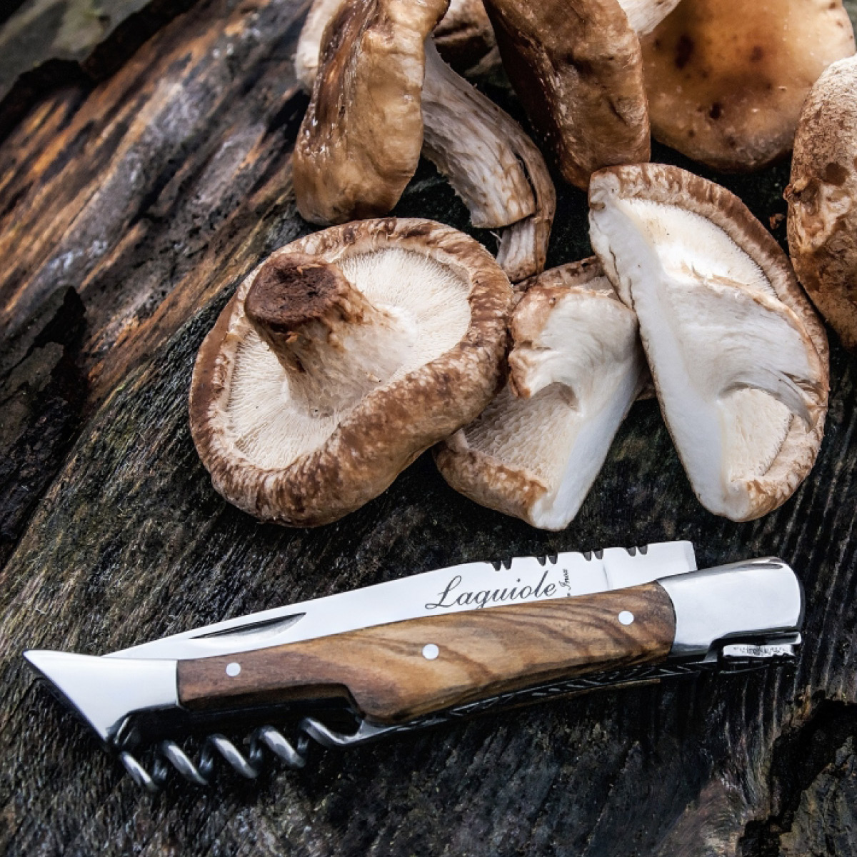 Laguiole Style de Vie Lommekniv med korketrekker olive