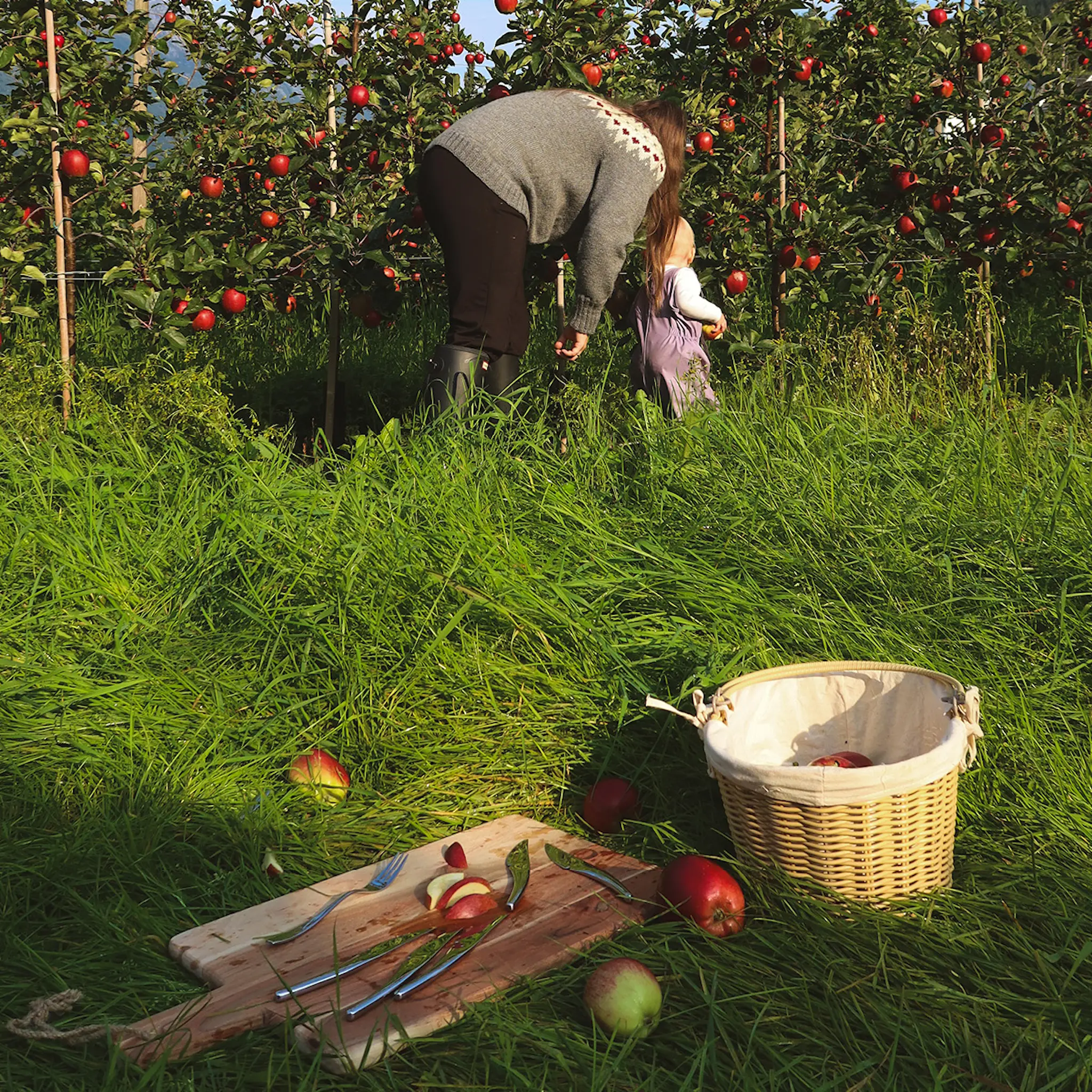 Hardanger bestikk Hardanger ostkniv / fruktkniv 12-pack