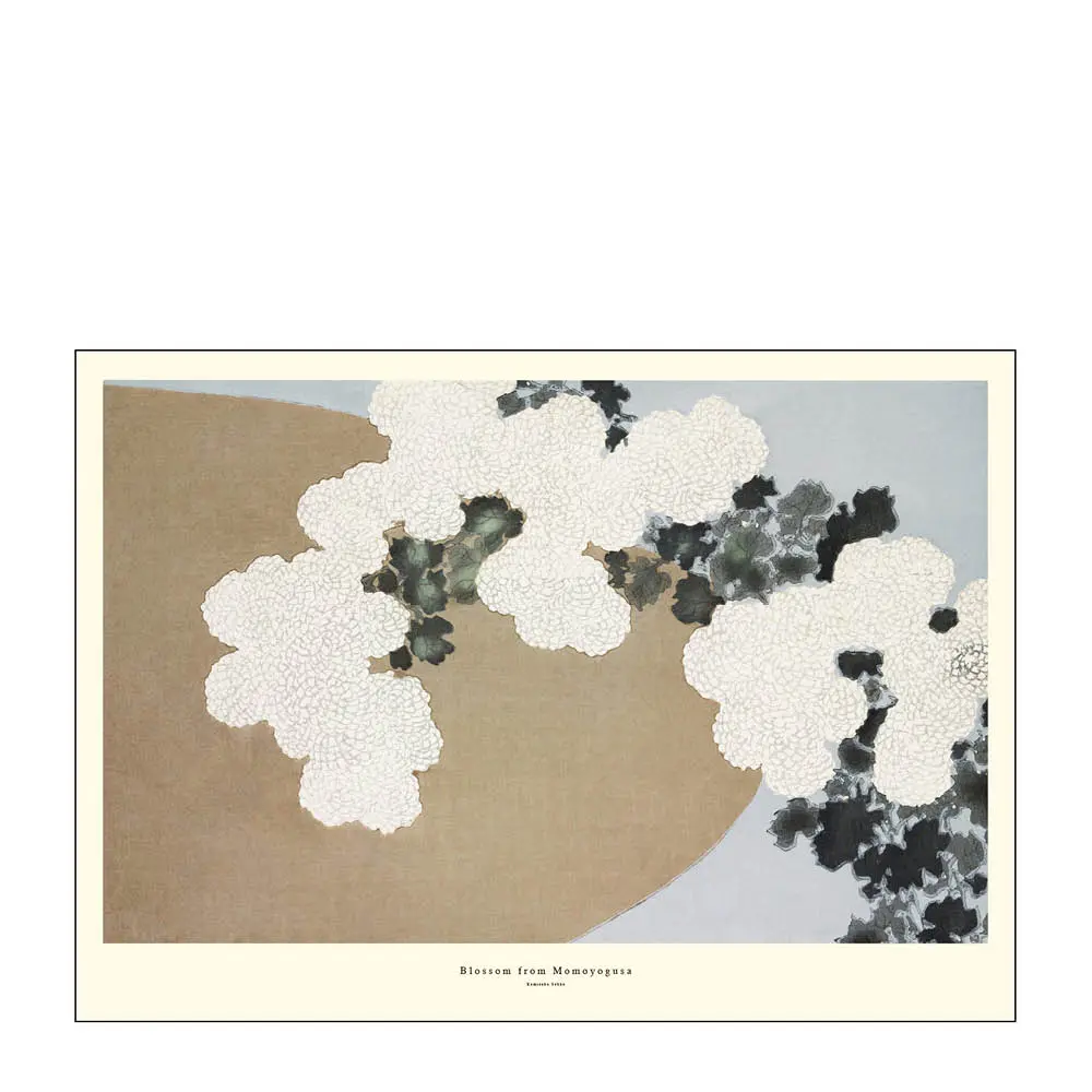A.P. Atelier Juliste 30x40 cm Blossom from momoyogusa