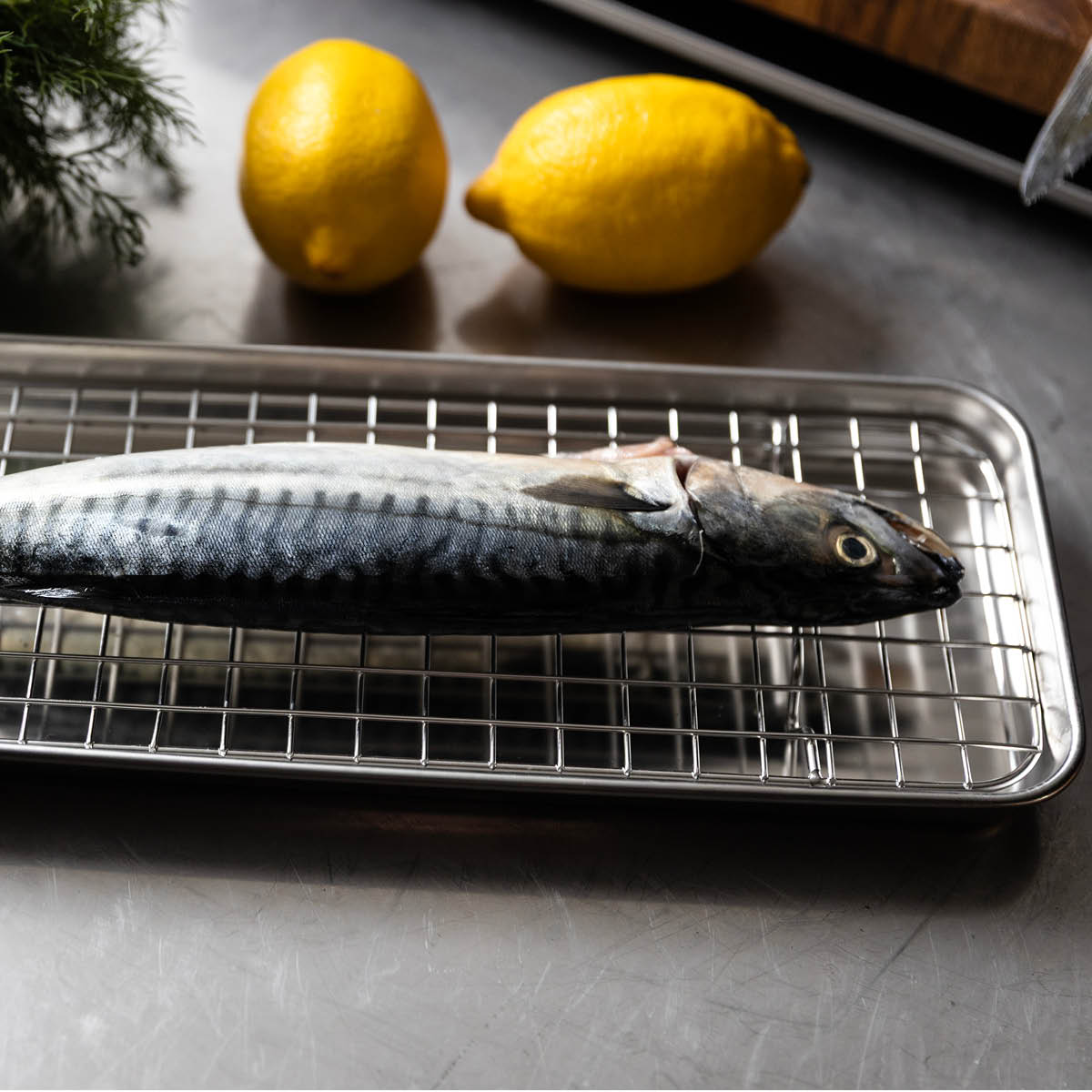 Culimat Mathias Dahlgren gastrovuoka ritilöillä 4 osaa ruostumaton