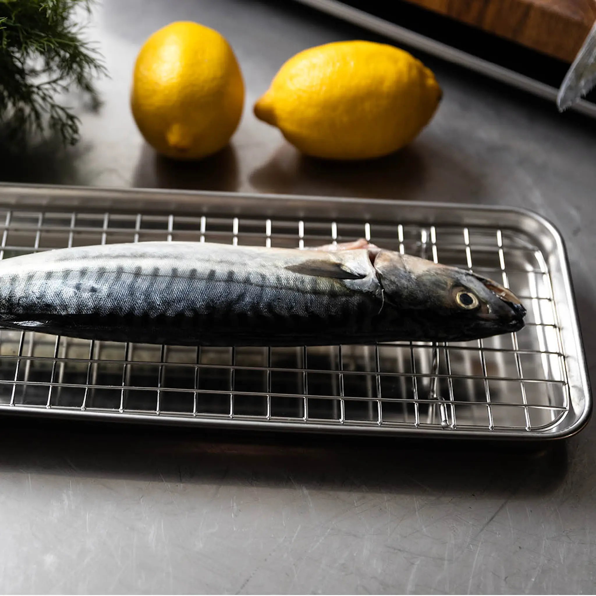 Culimat Mathias Dahlgren gastrovuoka ritilöillä 4 osaa ruostumaton