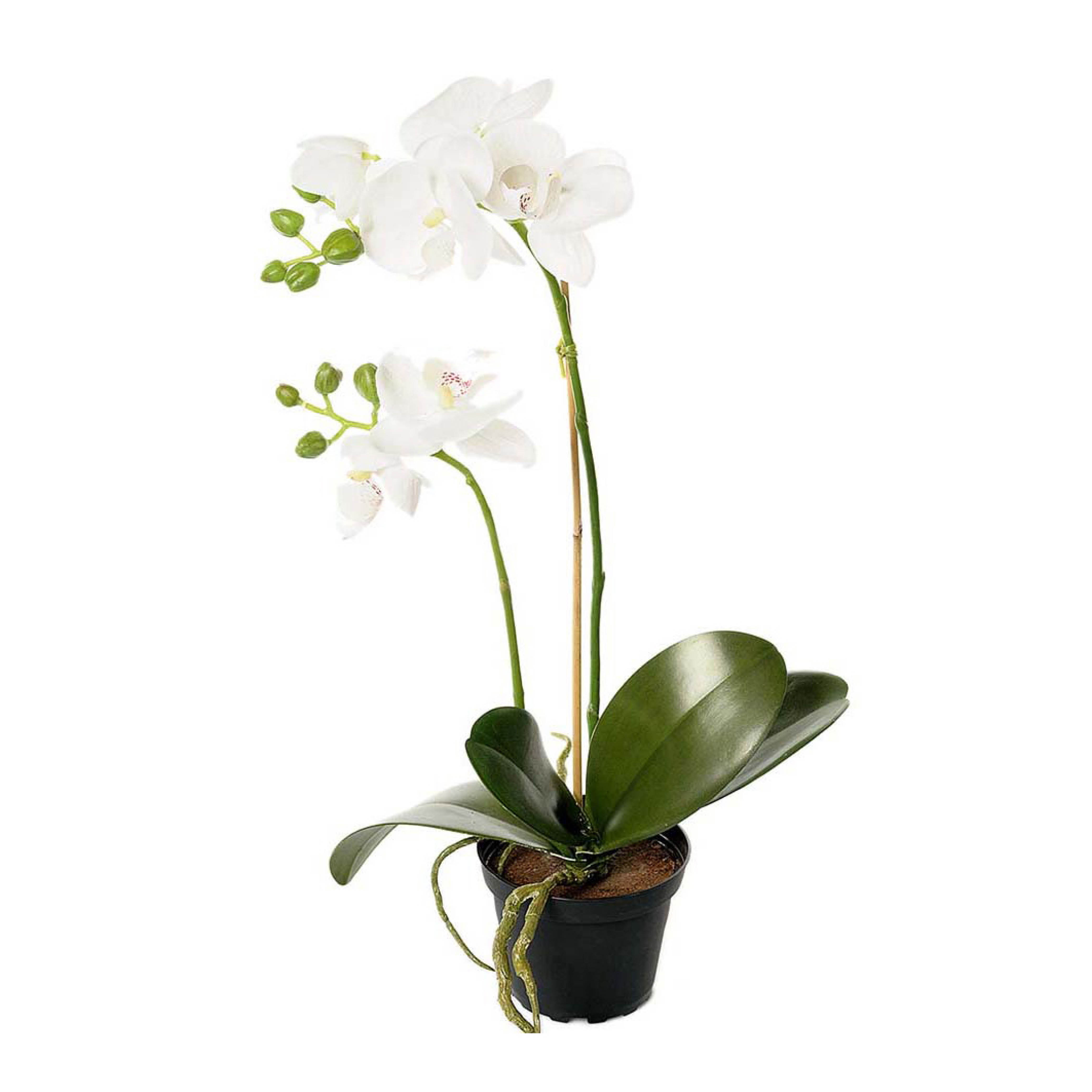 Mr Plant Phalaenopsis kunstig potteplante 45 cm hvit