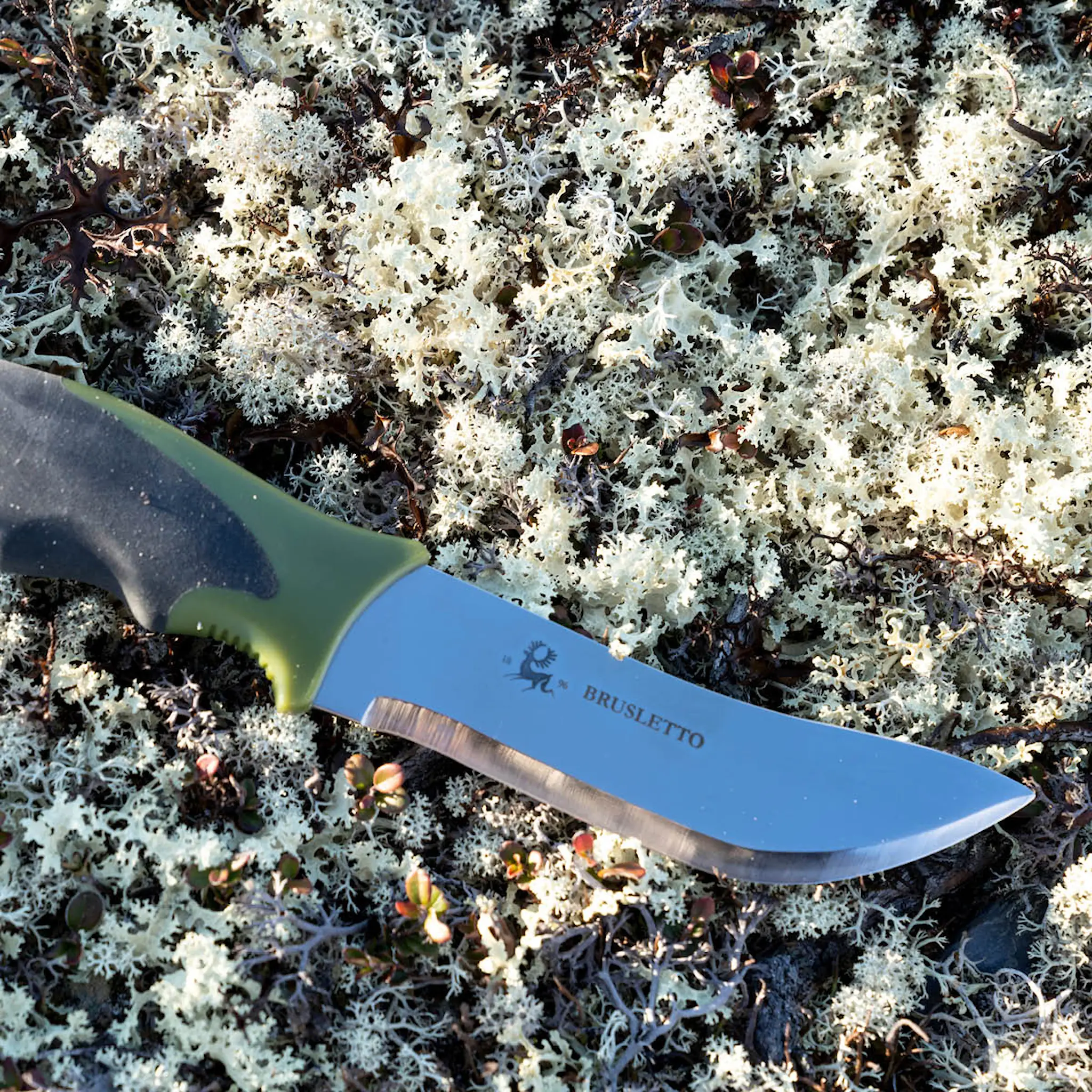Brusletto Skinner köttkniv 22,5 cm svart/grön/borstad