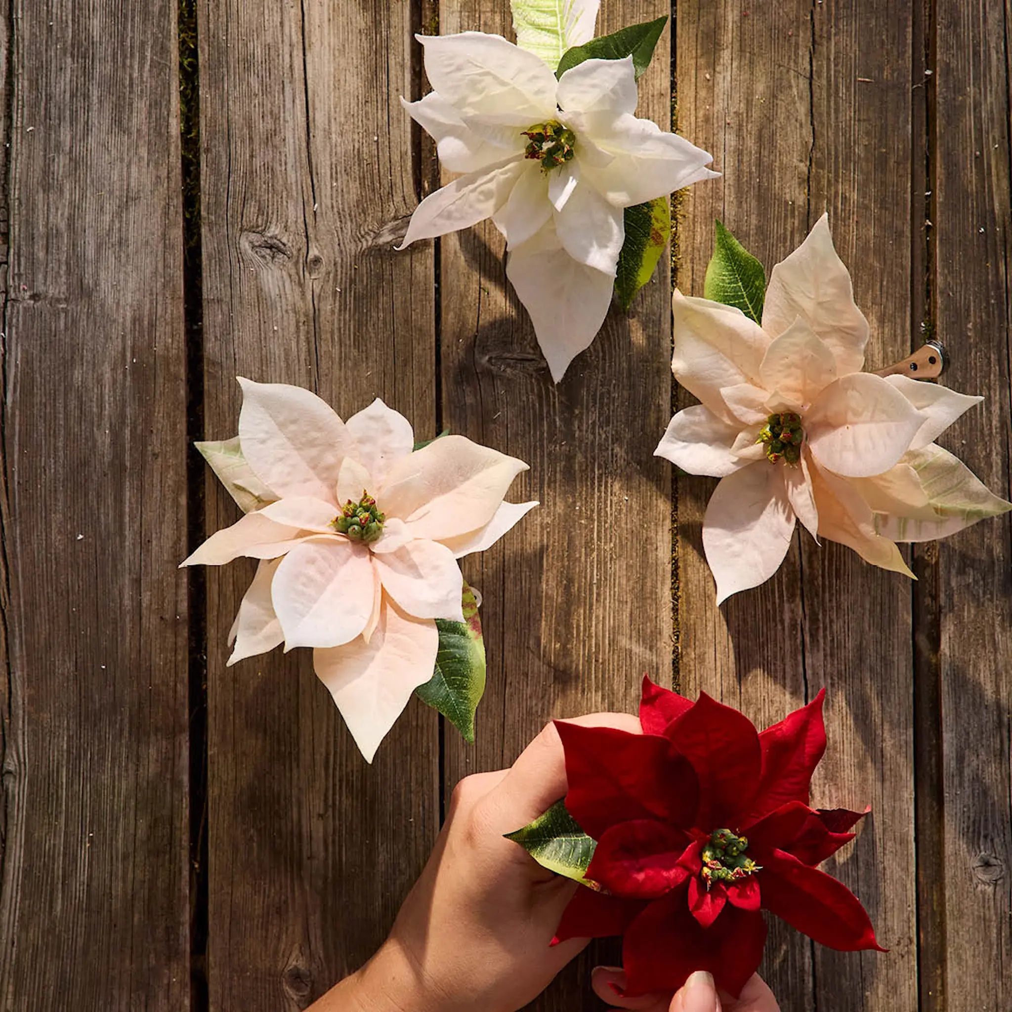 Mr Plant Julstjärna 50 cm vit