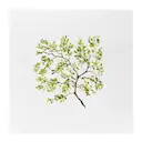 Servett 33 cm forest