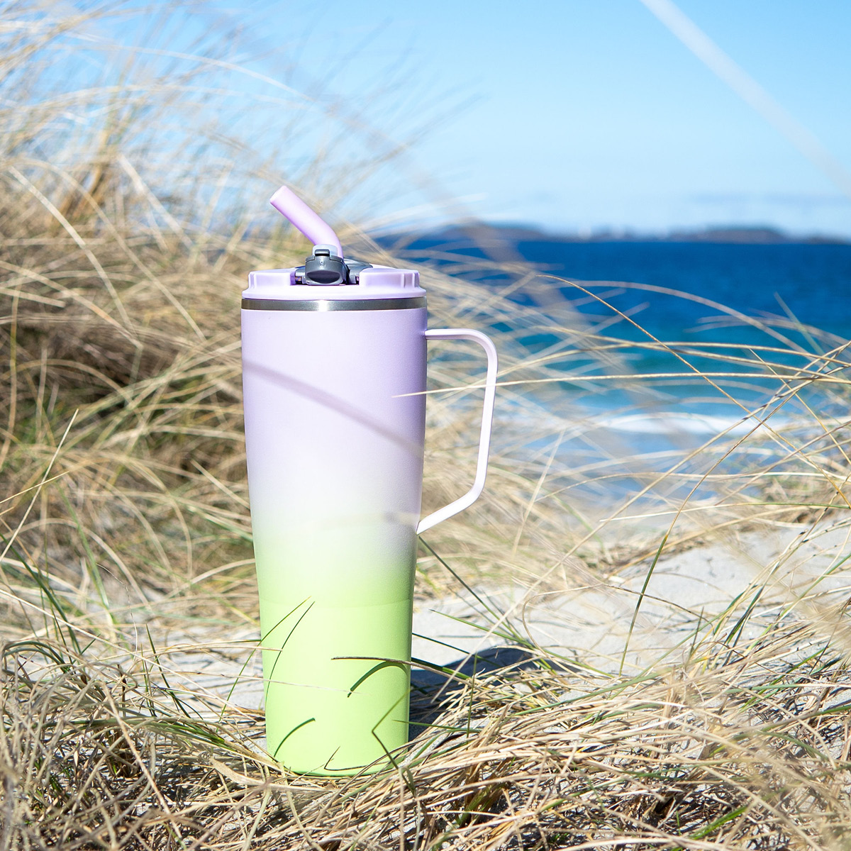 Modern House Fusion Termosmuki 1,2 L Liila/Vihreä