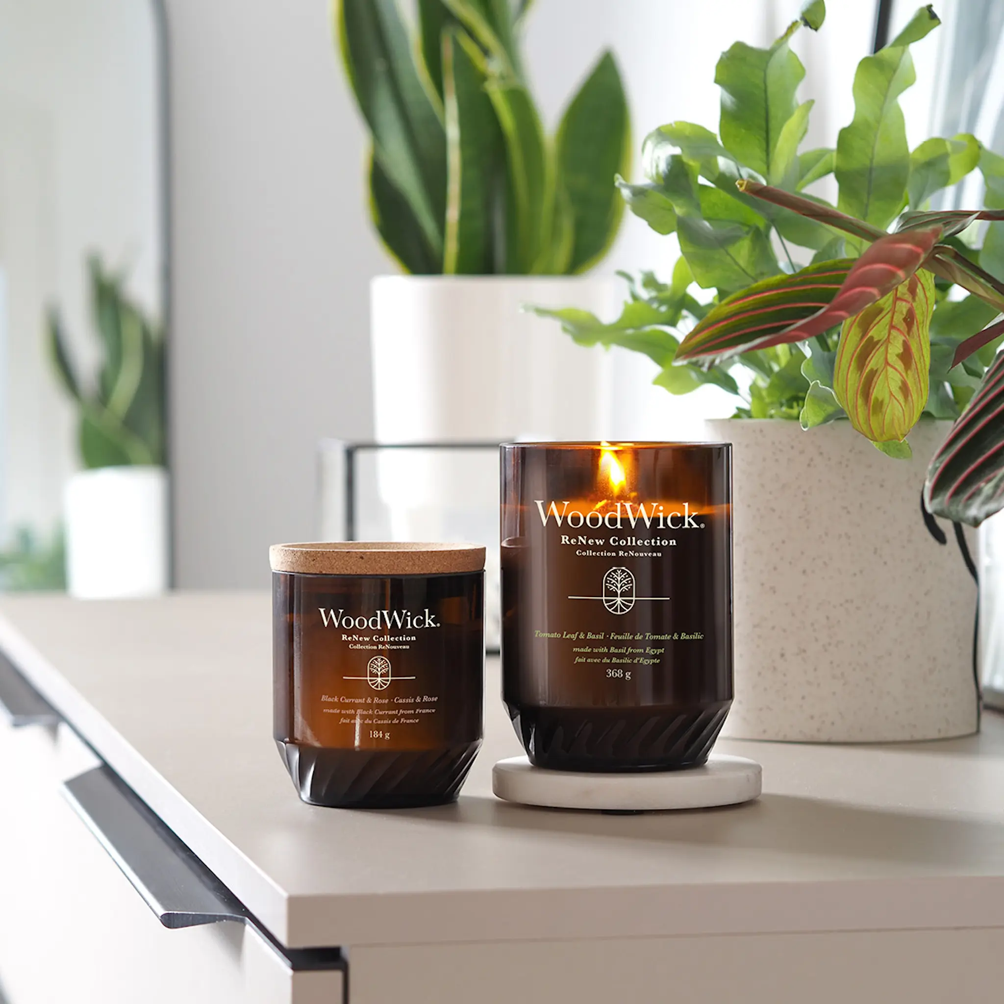 WoodWick Renew doftljus medium tomato leaf & basil