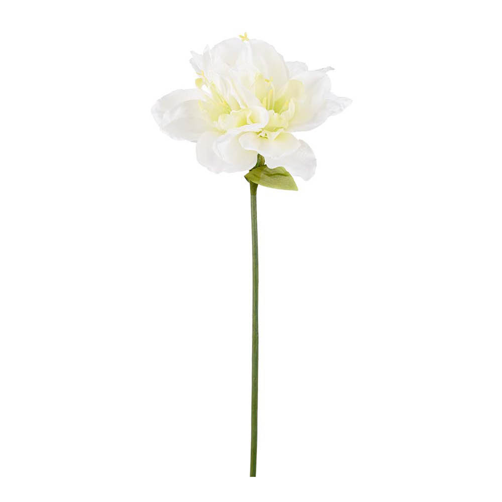 Mr Plant - Tekokukka Amaryllis 63 cm Valkoinen