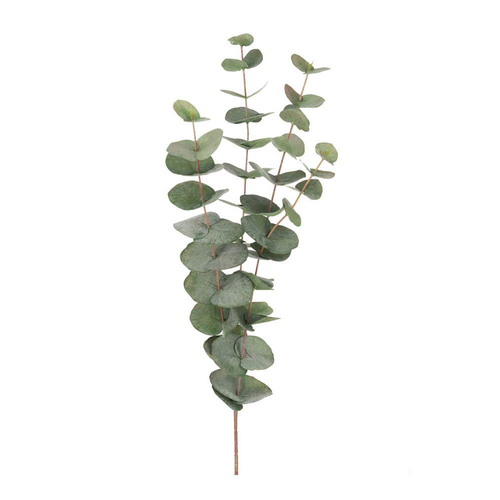Mr Plant - Tekokasvi Eukalyptus 60 cm Vihreä