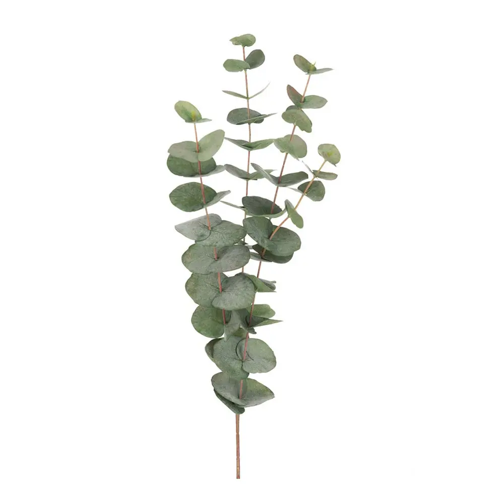 Tekokukka Eukalyptus 60 cm Vihreä