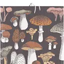 Svamprik Kökshandduk 40x60 cm