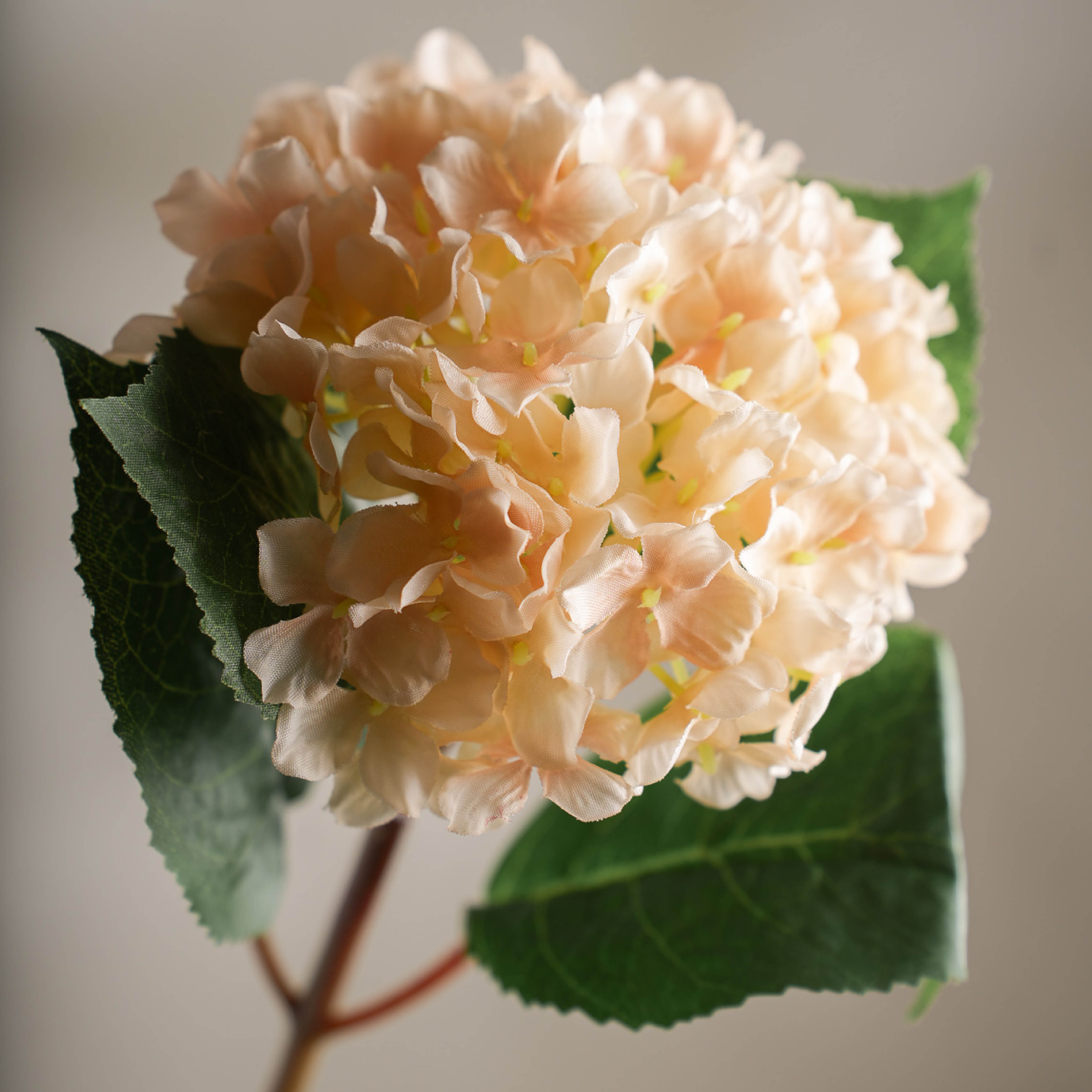 Mr Plant Hortensia konstgjord snittblomma 40 cm creme