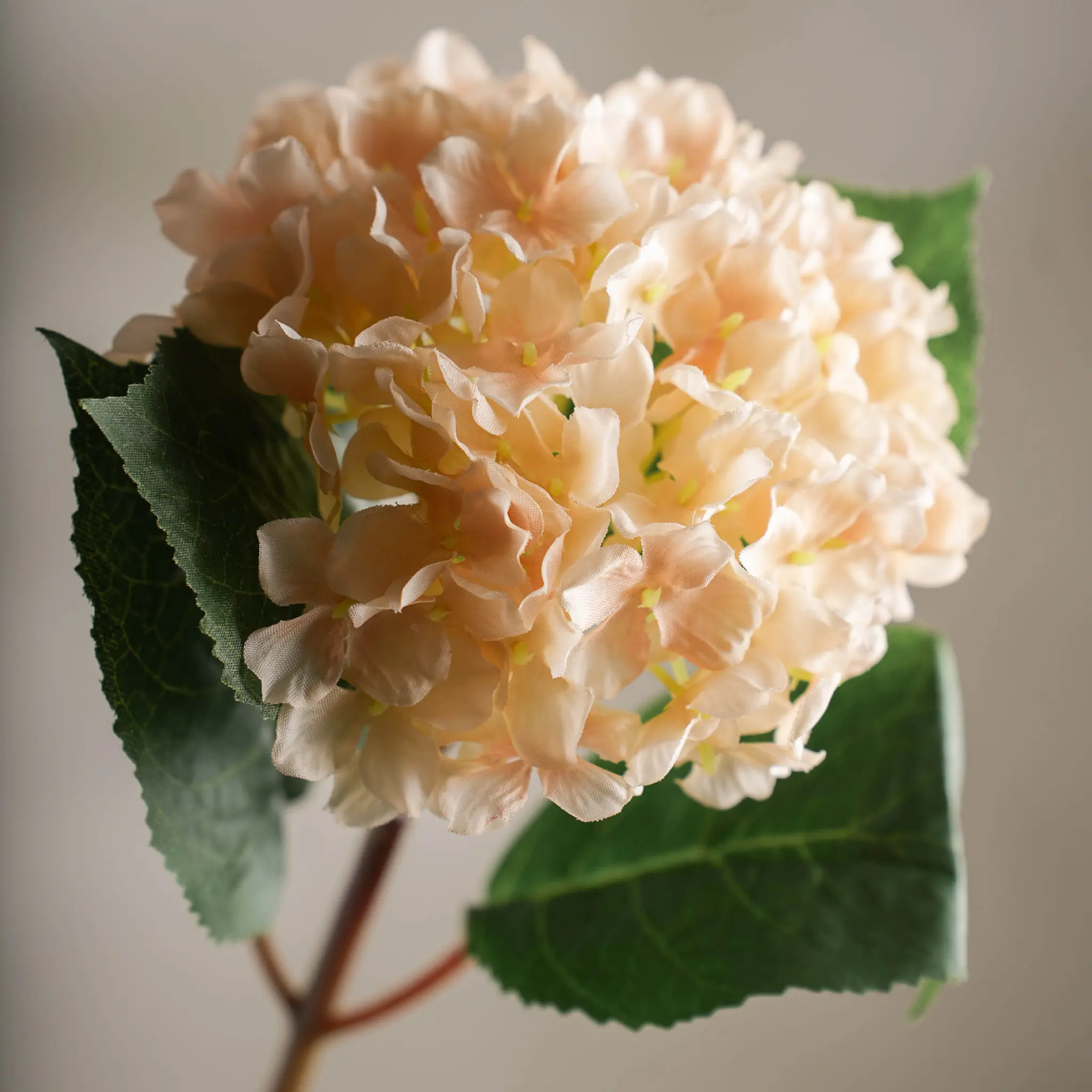 Mr Plant Hortensia konstgjord snittblomma 40 cm creme