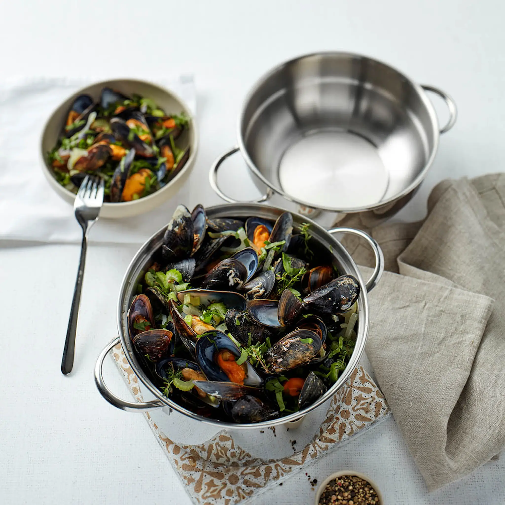 Demeyere Resto Simpukkakattila 3 L 20 cm