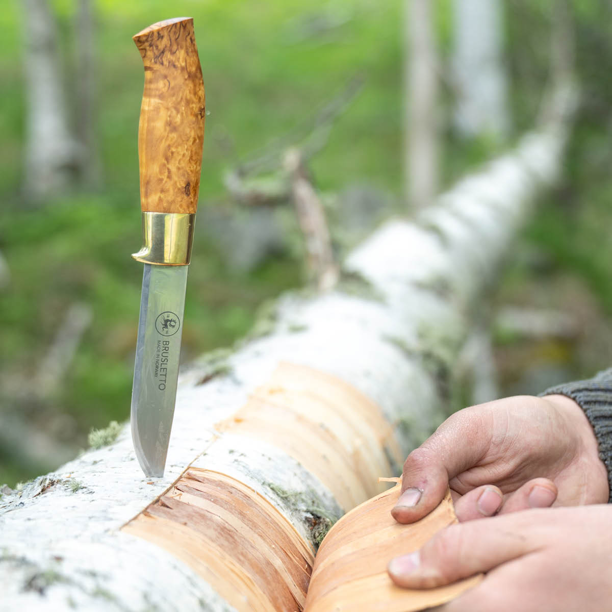 Brusletto Røy allroundkniv 24,5 cm masurbjörk
