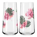 Sommersonett Highballglas 2-pack Monstera