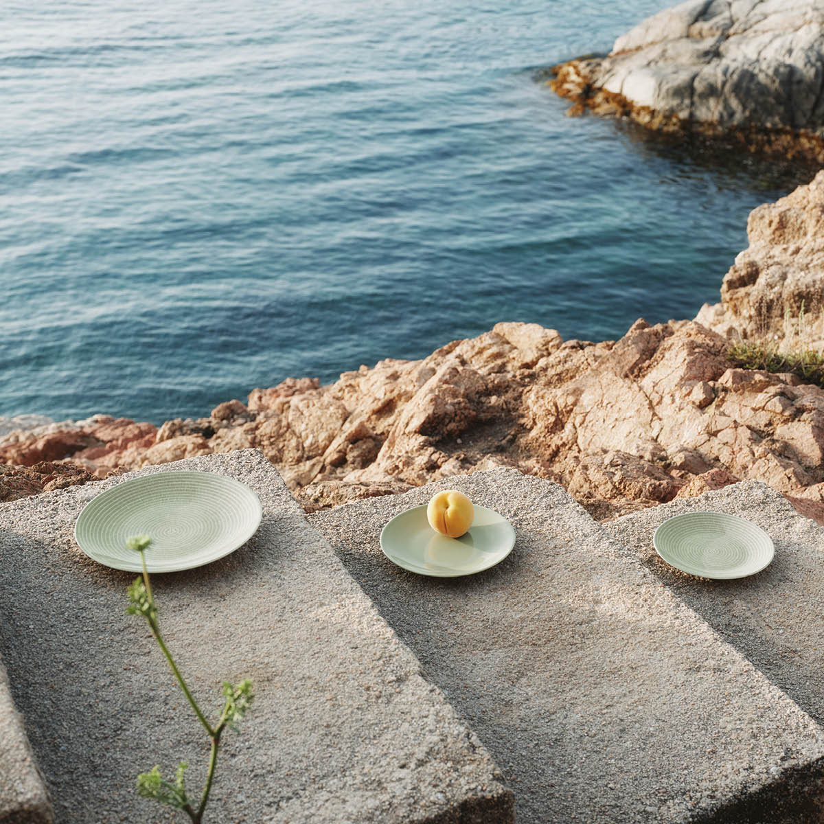 Arabia 24h tallrik 26 cm Avec grön