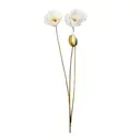 Vallmo 75 cm vit