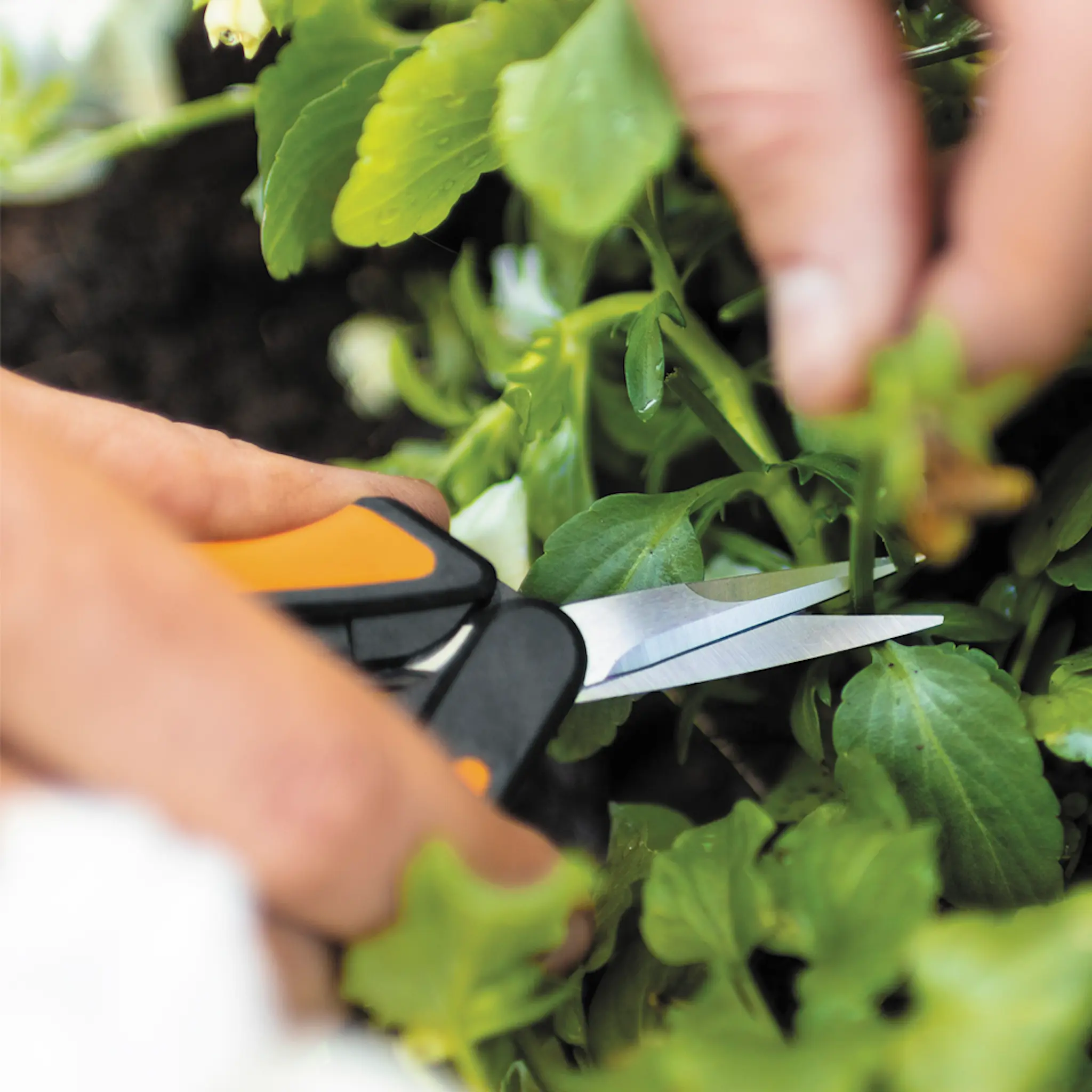 Fiskars Solid™ örtsax SP130 21,5 cm orange/svart