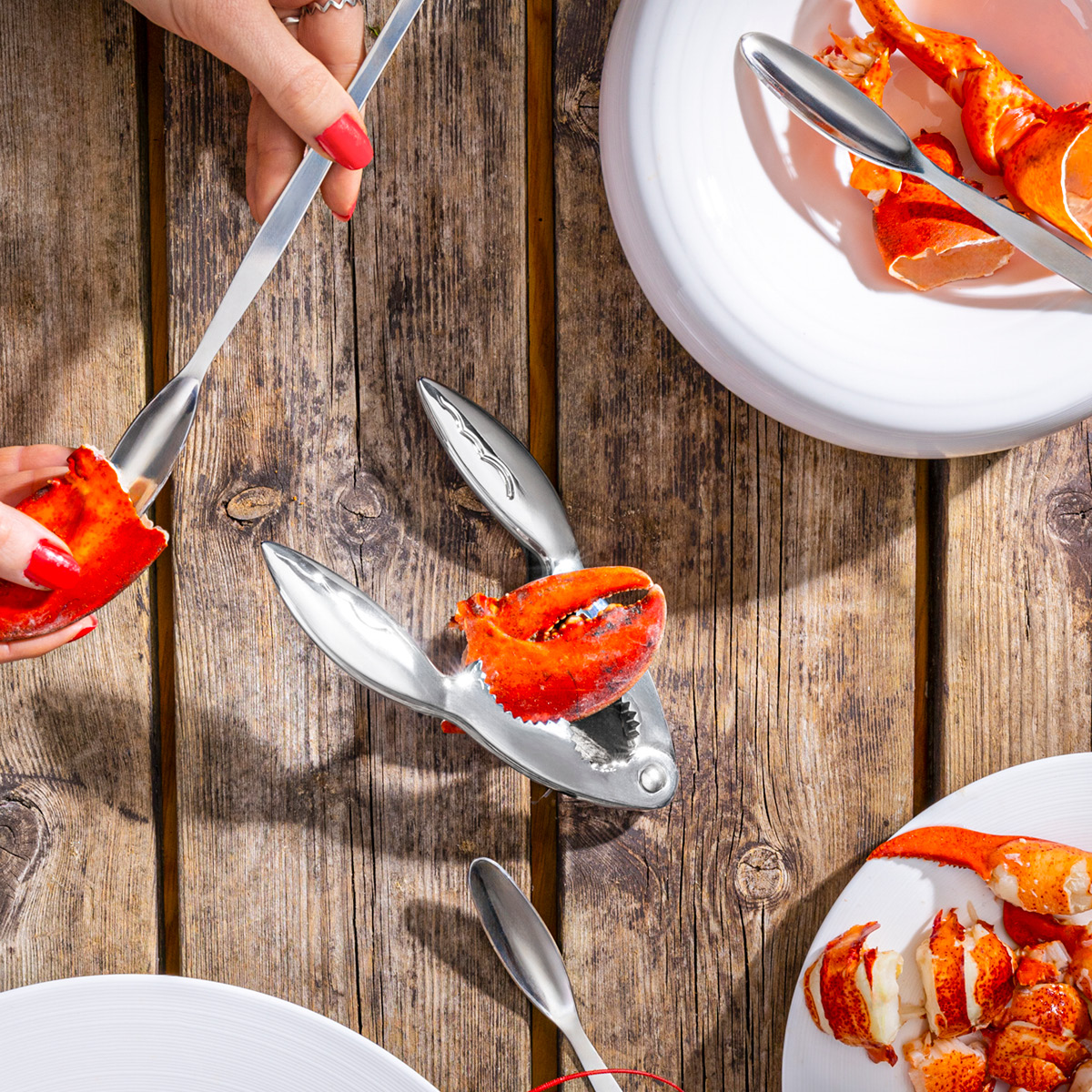 Stiernholm Tide Äyriäissärkijä 16x5,5 cm Kromi